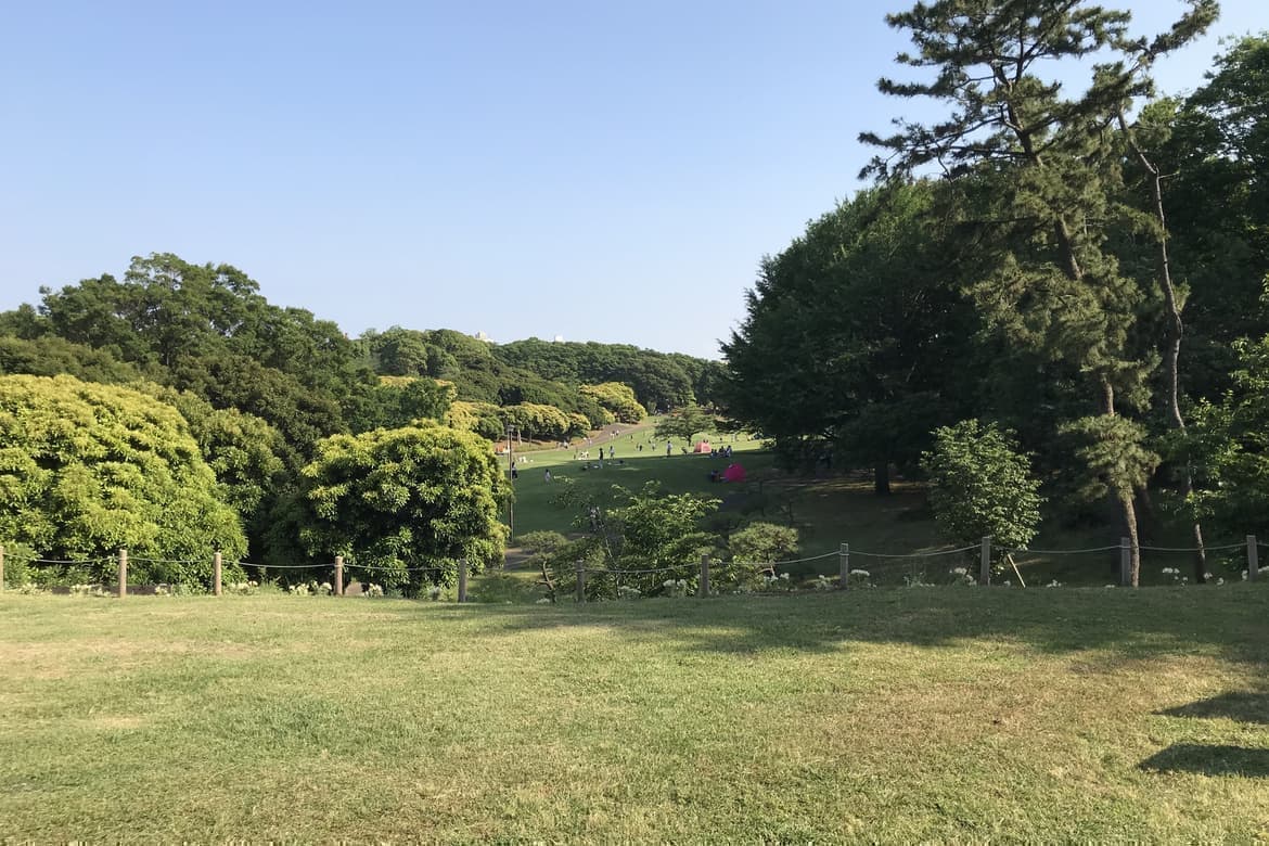 婚活ウォーキング神奈川県散歩歩きアウトドアイベント