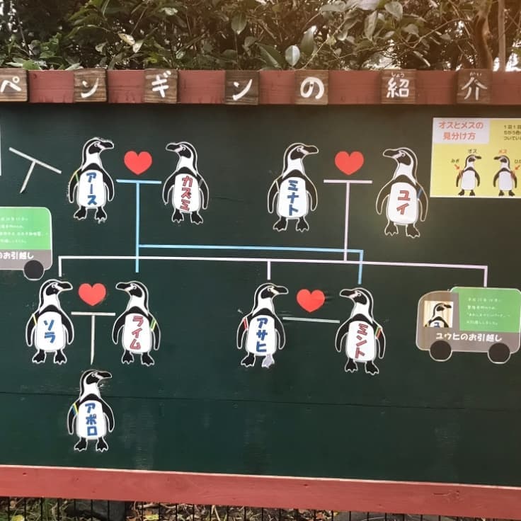 婚活ウォーキング第三者機関の審査を受けている優良な結婚相談所
