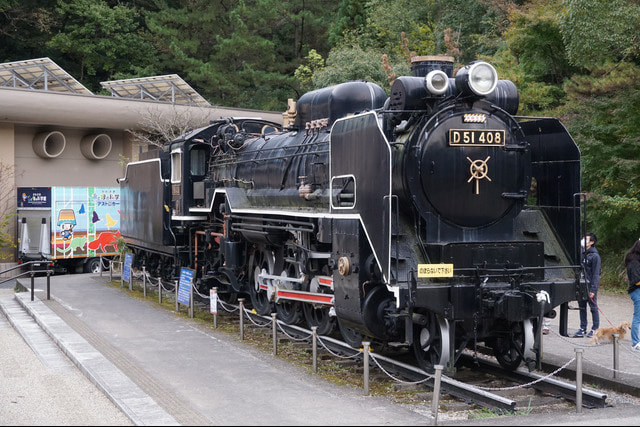 婚活パーティーウォーキング神奈川川崎市生田緑地散歩散策