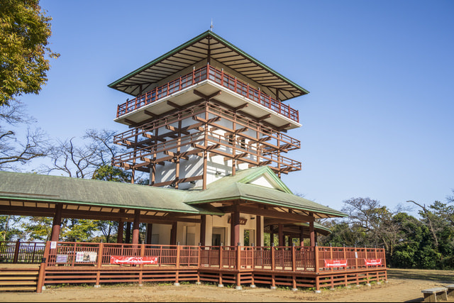 婚活パーティーウォーキング神奈川川崎市生田緑地散歩散策