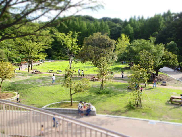 婚活パーティーウォーキング神奈川川崎市生田緑地散歩散策