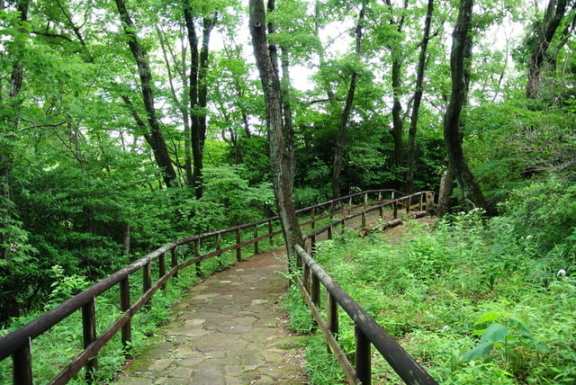 婚活パーティーウォーキング神奈川川崎市生田緑地散歩散策
