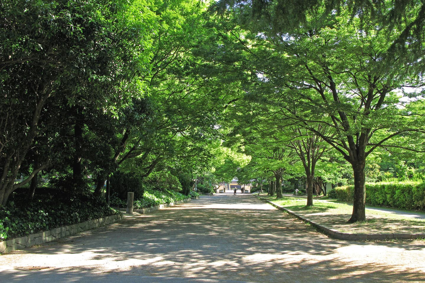 婚活ウォーキング 愛知県 名古屋 名古屋城 名城公園 散歩 散策 アウトドアイベント
