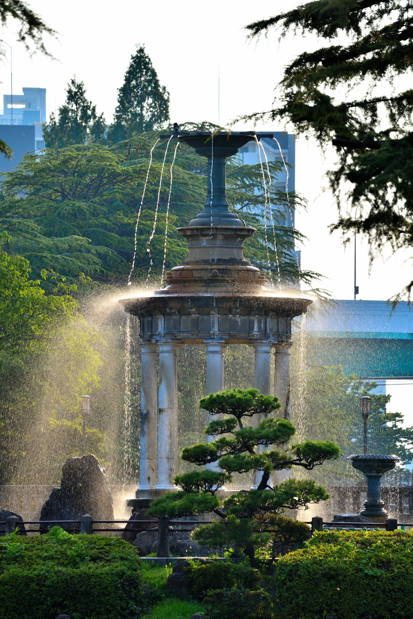 名古屋市 鶴舞公園 てくてく婚活ウォーキング 散歩 散策 アウトドアイベント