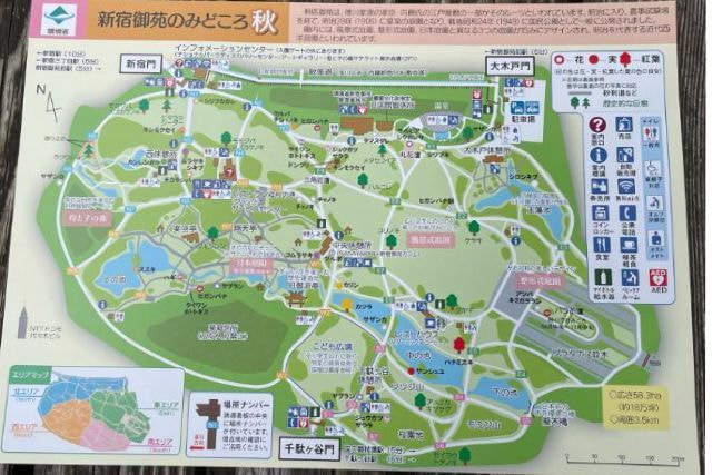 婚活ウォーキング東京タワー芝公園散歩散策