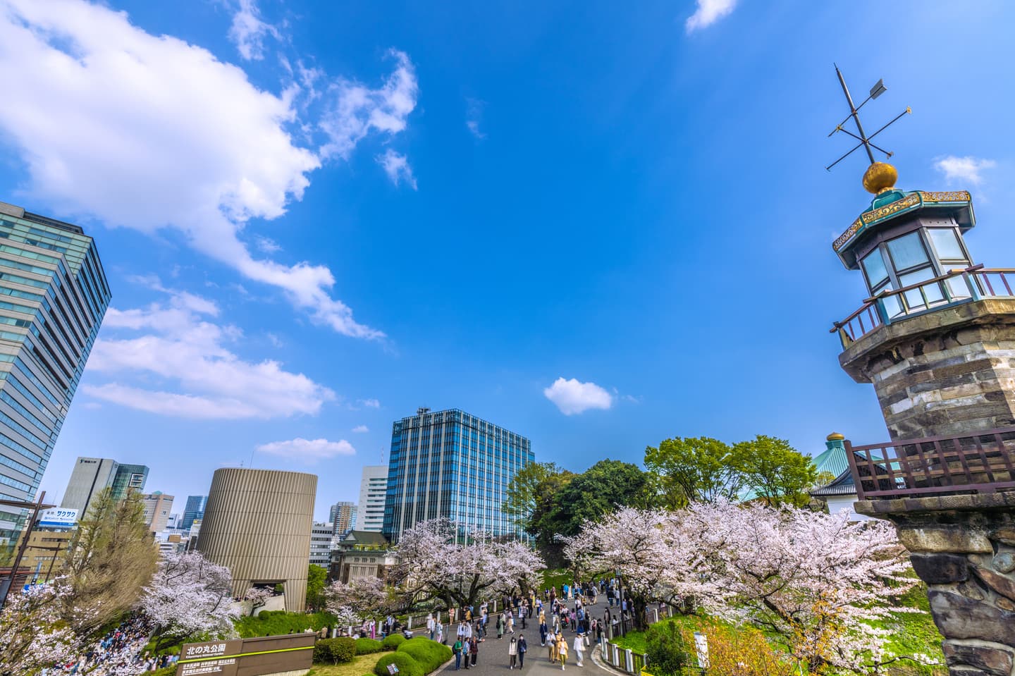 ニコニコ婚活ウォーキング 東京 北の丸公園 武道館 散歩散策 歩き 千代田区 皇居東御苑