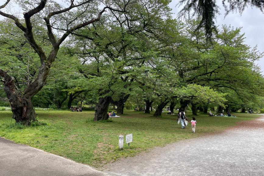東京 井の頭公園 婚活パーティーウォーキング 散歩 散策 神奈川 出会い結婚