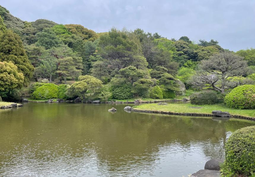 東京 小石川植物園 婚活パーティーウォーキング 散歩 散策 神奈川 出会い 結婚