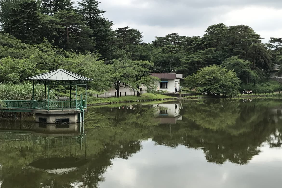 埼玉県 大宮 さいたま市 氷川神社 婚活ウォーキング パーティー お散歩 神奈川東京都 出会い 結婚