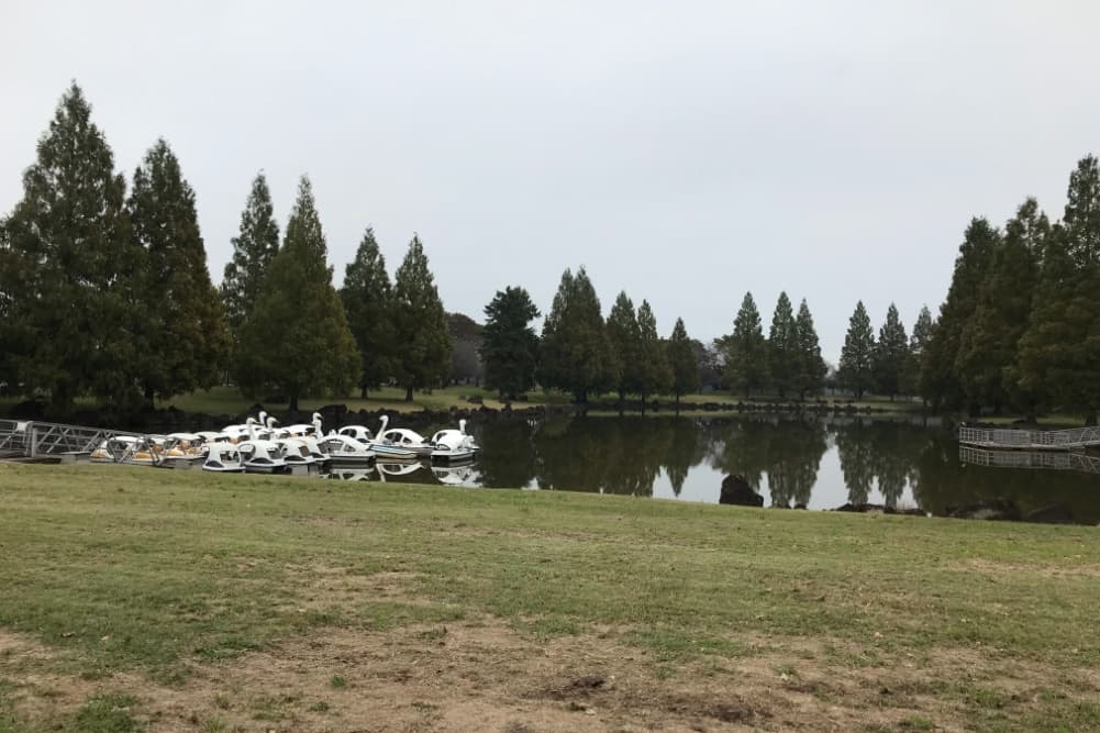 婚活ウォーキングイベント 散歩 埼玉県加須市加須はなさき公園 加須はなさき水上公園