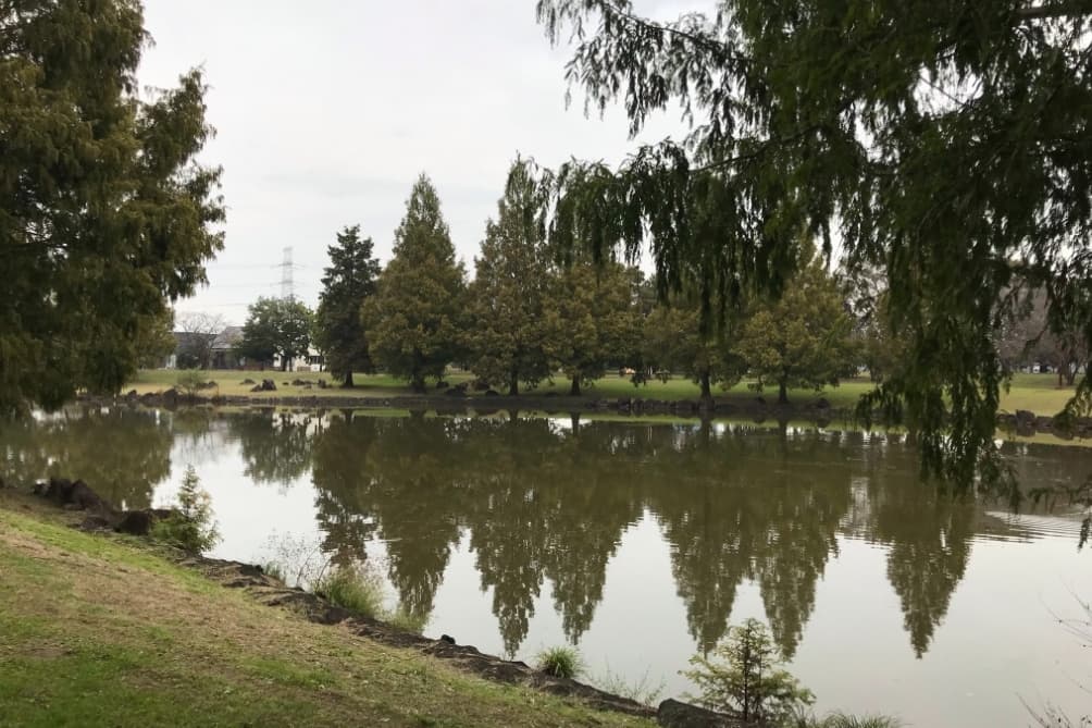 婚活ウォーキングイベント 散歩 埼玉県加須市加須はなさき公園 加須はなさき水上公園