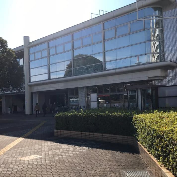 所沢市 埼玉県 大宮 さいたま市 氷川神社 婚活ウォーキング パーティー お散歩 神奈川東京都 出会い 結婚