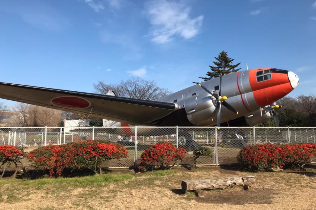 埼玉県 大宮 さいたま市 氷川神社 婚活ウォーキング パーティー お散歩 神奈川東京都 出会い 結婚