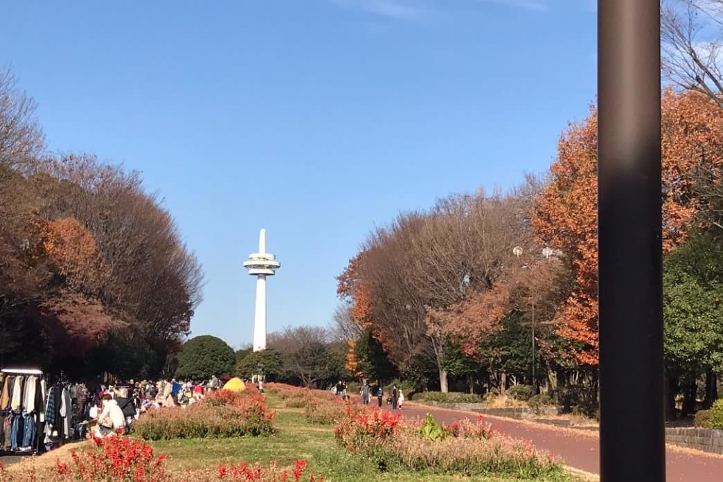 所沢市 埼玉県 大宮 さいたま市 氷川神社 婚活ウォーキング パーティー お散歩 神奈川東京都 出会い 結婚