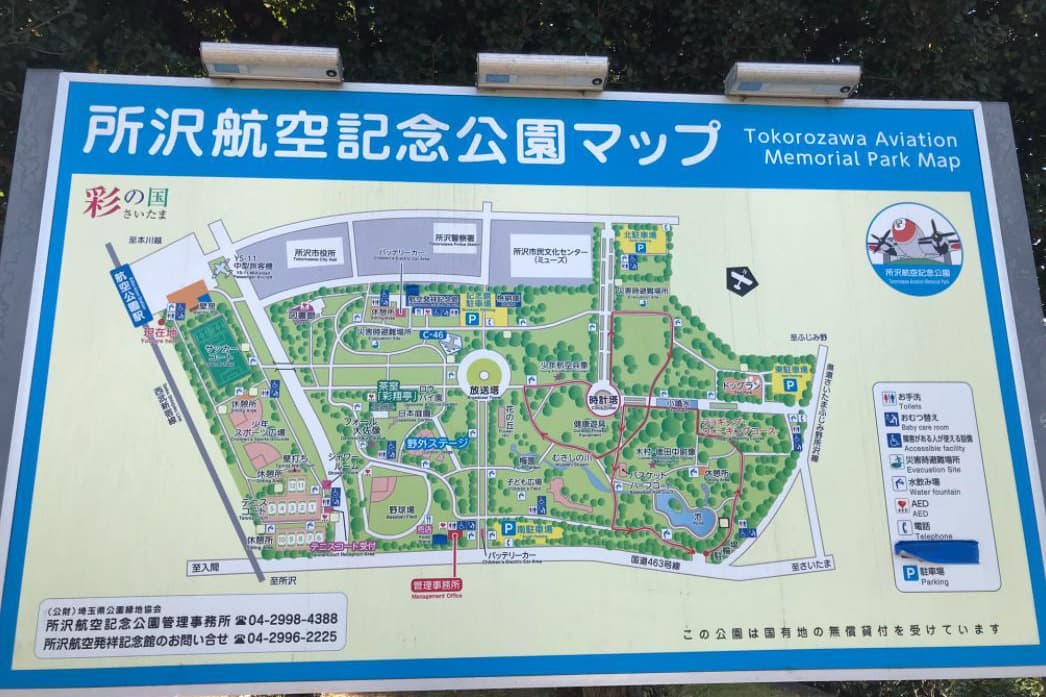 所沢市 埼玉県 大宮 さいたま市 氷川神社 婚活ウォーキング パーティー お散歩 神奈川東京都 出会い 結婚