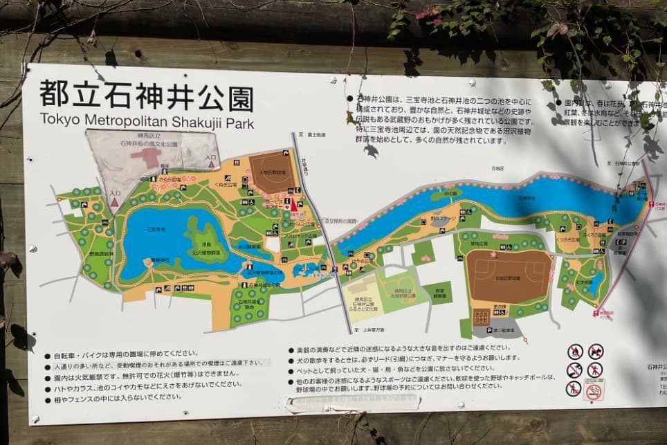 埼玉県 大宮 さいたま市 氷川神社 婚活ウォーキング パーティー お散歩 神奈川東京都 出会い 結婚