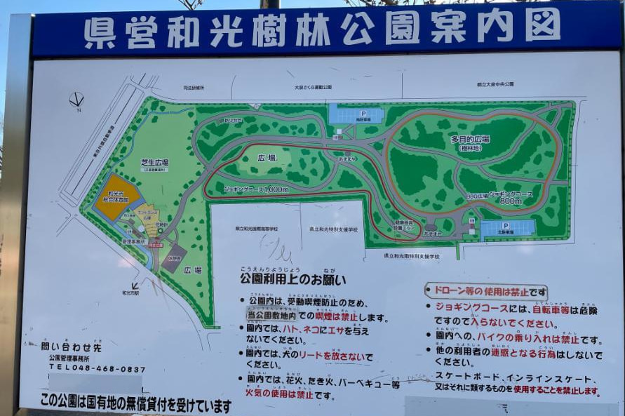 埼玉県 和光市 和光樹林公園 婚活ウォーキング パーティー お散歩 神奈川東京都 千葉県 出会い 結婚