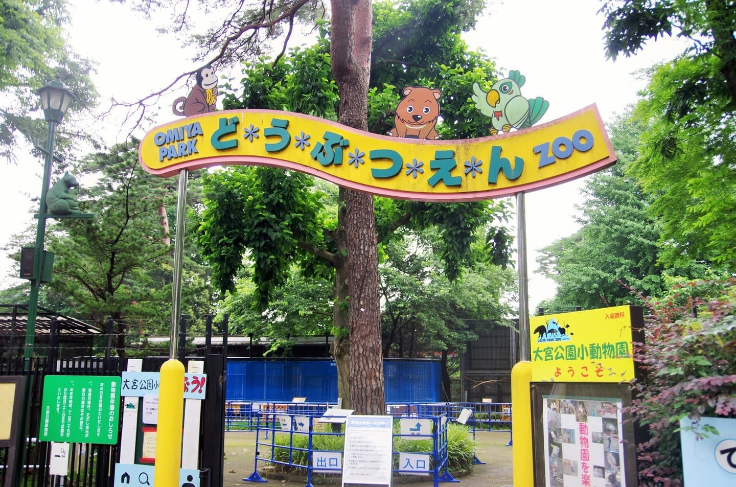 てくてく婚活ウォーキング 埼玉県 大宮市 大宮公園 氷川神社 散歩 散策 アウトドアイベント
